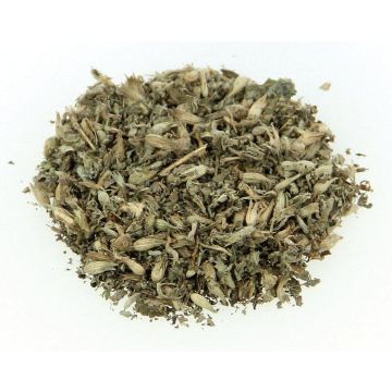 swisspet Catnip in Beutel 20g