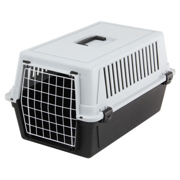 SP Transportboxe Atlas 20 EL grau/sw