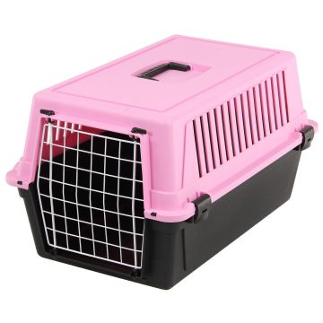 SP Transportboxe Atlas 20 EL pink/sw