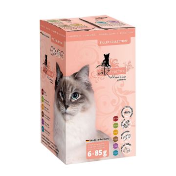 catz finefood Fillets MP 6x85g